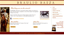 Tablet Screenshot of brauliobaeza.com